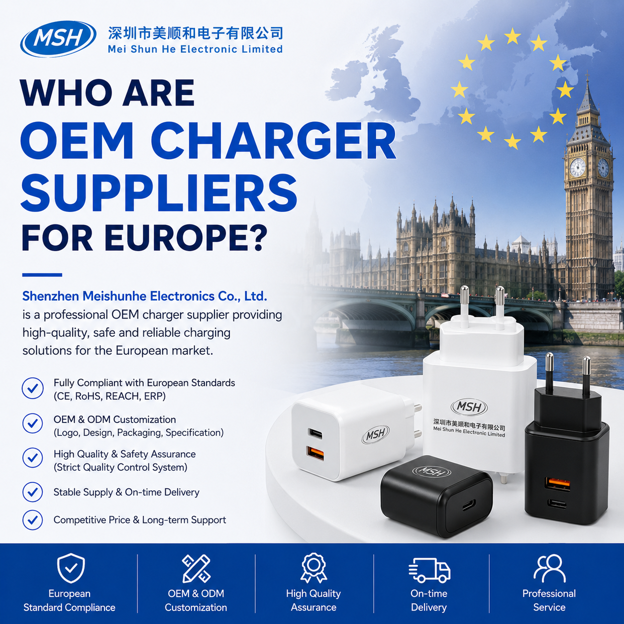 Who Are OEM Charger Suppliers for Europe?